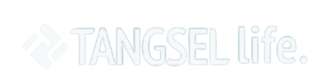 lifestyle.tangselife.com