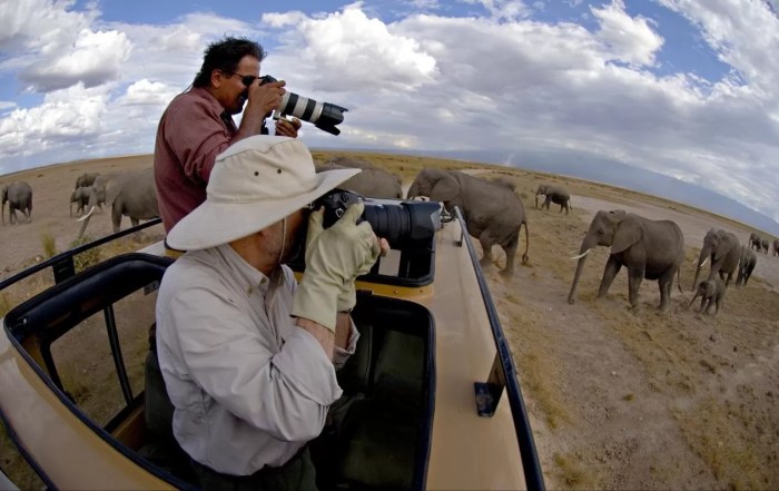 10 Best African Safari Tour Operators 2025/2026 - TourRadar