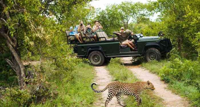 African Safari Tour Companies: World's Best 2020